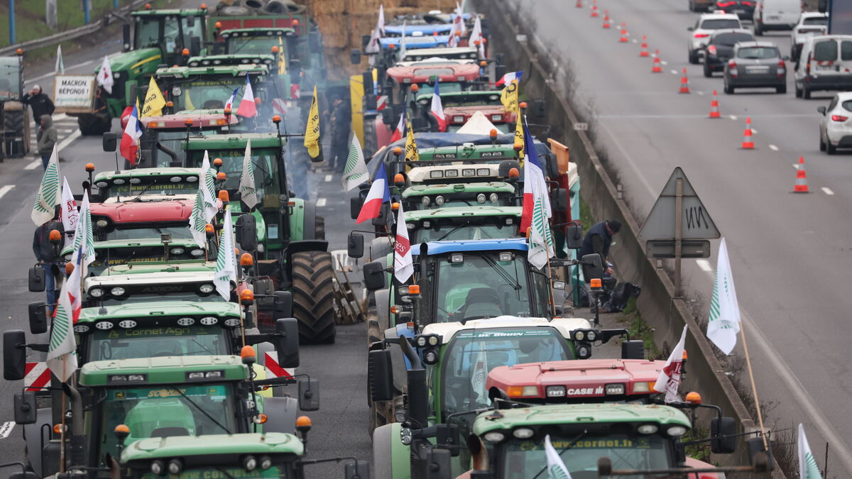 L’opposition de Thierry Cotillard aux importations du Mercosur : Une stance ferme pour défendre l’agriculture locale