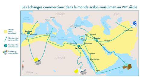 Le Secret des Anciens : L&rsquo;Héritage Scientifique Musulman Oublié dans les Écoles