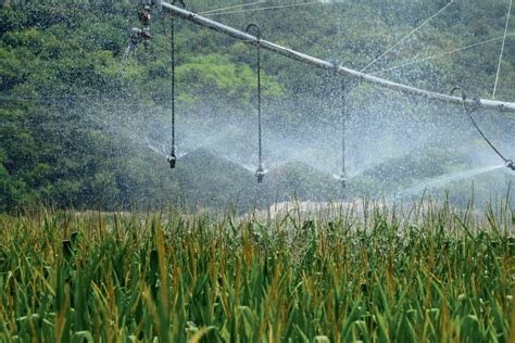 L’eau en péril : une coalition écologique alerte sur le projet de loi agricole d’urgence